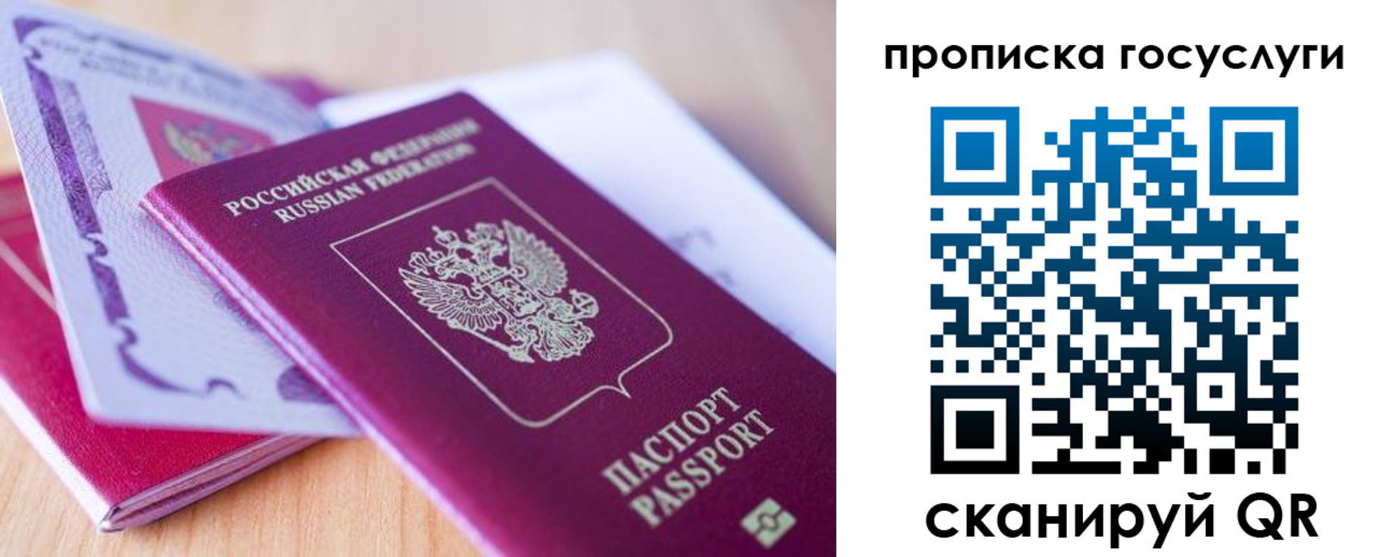 пропишу в квартире в Тольятти